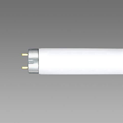 ホタルクス NECライティング FL8W