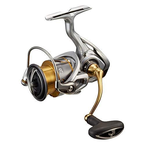 ダイワ(DAIWA) 21 フリームス LT3000