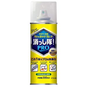 ABC商会 エアゾールタイプ 落書き落とし 消っし隊 PRO KTS-300 300ml