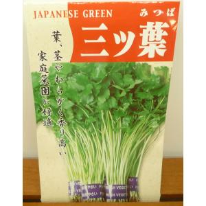 三つ葉 種子の商品一覧 通販 Yahoo ショッピング