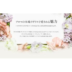 正規品 リードディフューザー TheScent...の詳細画像2