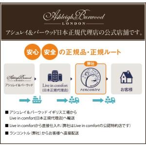 正規品 リードディフューザー TheScent...の詳細画像4