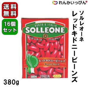 レッドキドニービーンズ 380g ソル・レオーネ 日欧商事 ソルレオーネ