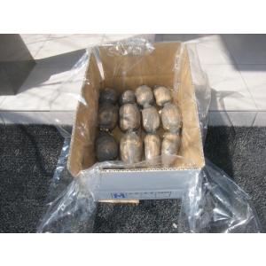 れんこん　2kg　M