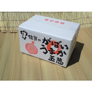 （佐賀県産）玉ねぎ　L 以上 10kg