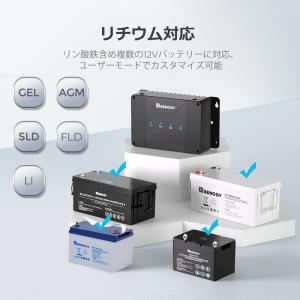 【SALE】RENOGY 12V 30A 走行...の詳細画像5