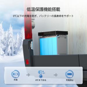 【SALE】RENOGY 12V 100Ah ...の詳細画像2