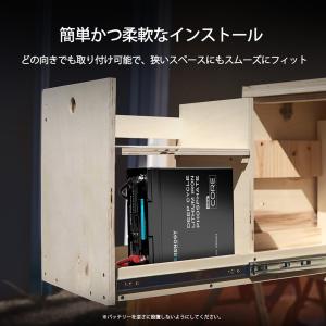 【SALE】RENOGY 12V 100Ah ...の詳細画像3