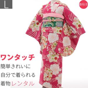着物 レンタル Lサイズ 袋帯セット 江戸小紋 赤ピンク 鮫小紋