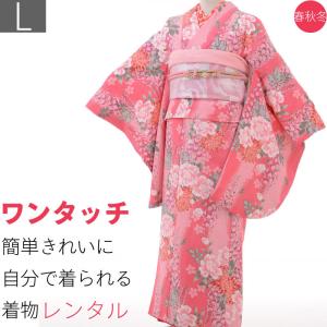 着物 レンタル Lサイズ 袋帯セット 江戸小紋 赤ピンク 鮫小紋