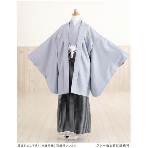 10歳 女の子 着物レンタル jk1188 子供振袖 ジュニア振袖 1/2成人式