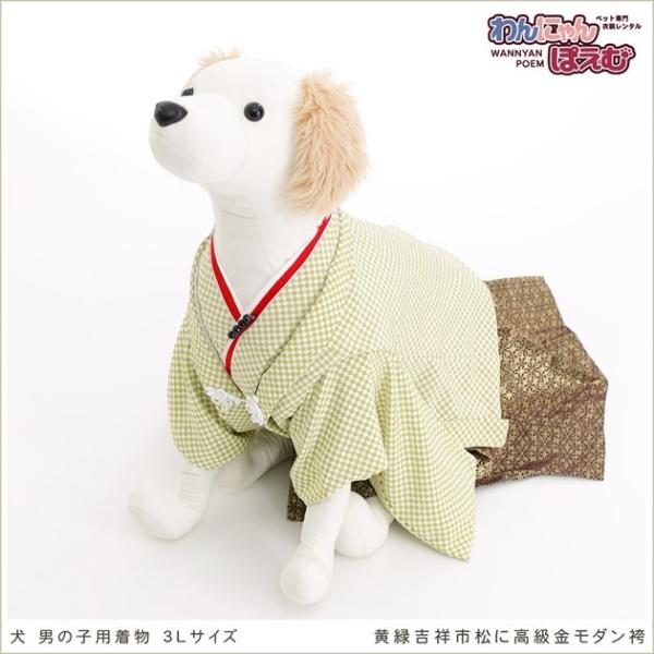 犬の着物レンタル 大型犬 男の子 d3l-002 ペット衣装 往復送料無料 高級生地 かっこいい 結...
