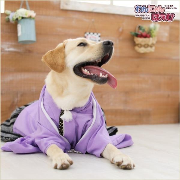 犬の着物レンタル 大型犬 男の子 d3l-004 ペット衣装 往復送料無料 高級生地 かっこいい 結...