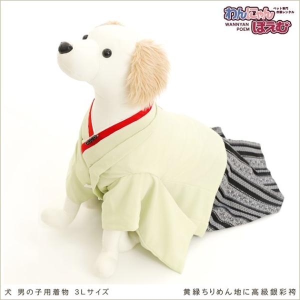 犬の着物レンタル 大型犬 男の子 d3l-006 ペット衣装 往復送料無料 高級生地 かっこいい 結...
