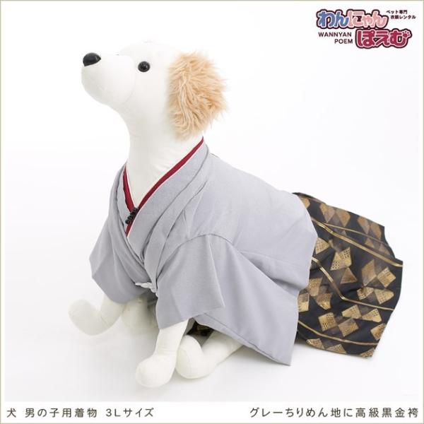 犬の着物レンタル 大型犬 男の子 d3l-008 ペット衣装 往復送料無料 高級生地 かっこいい 結...