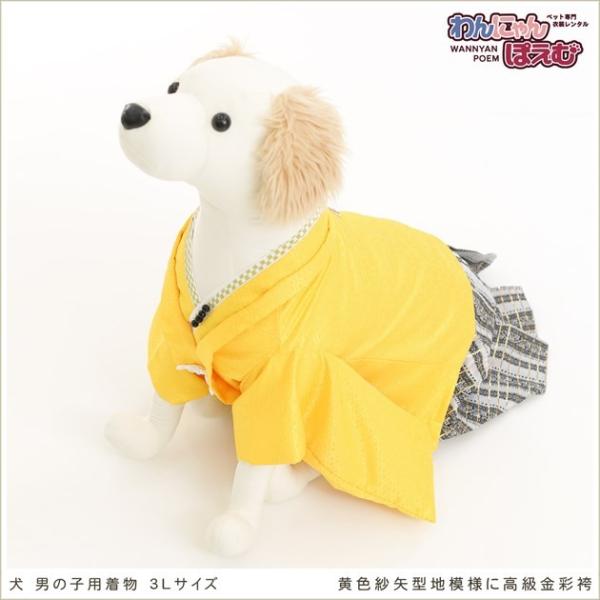 犬の着物レンタル 大型犬 男の子 d3l-009 ペット衣装 往復送料無料 高級生地 かっこいい 結...