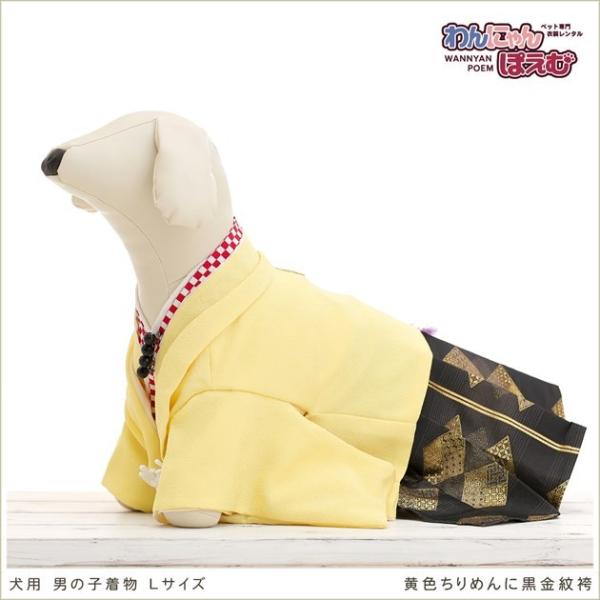 犬の着物レンタル 中型犬 男の子 dl-008 ペット衣装 往復送料無料 高級生地 かわいい 結婚式...