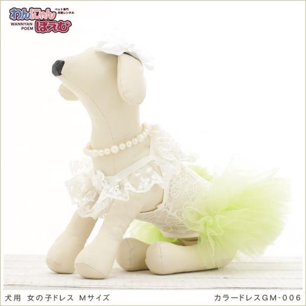 犬のドレスレンタル 小型犬 女の子 gm-006 ペット衣装 カラードレス 洋装 往復送料無料 高級...