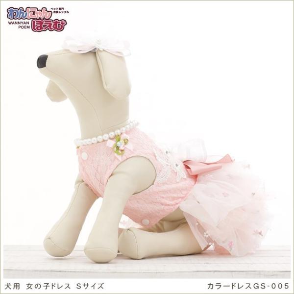 犬のドレスレンタル 小型犬 女の子 gs-005 ペット衣装 カラードレス 洋装 往復送料無料 高級...