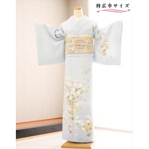 訪問着レンタル hw1659 卒業式 母 着物 入学式 着物レンタル 七五三