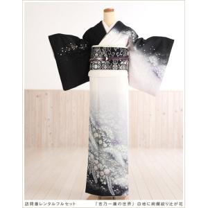 訪問着レンタル 卒業式 母 着物 hw1432 ...の商品画像