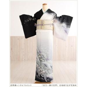 訪問着レンタル 結婚式 卒業式 入学式 七五三 hw1169 着物レンタル