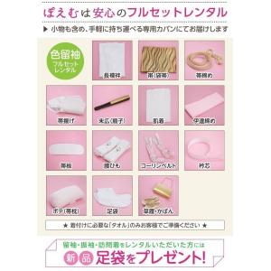 高身長対応 色留袖レンタル トールサイズ 五つ...の詳細画像3