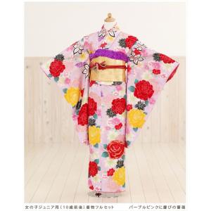 成人式 振袖レンタル 1月 お正月 fb1468s 振り袖 着物レンタル 20歳