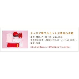 小学校卒業式 袴レンタル 小学生 女の子 jo...の詳細画像1