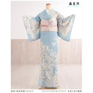 夏の訪問着★絽　セット 夏用 絽 訪問着レンタル sr5030-2 着物レンタル フルセット ママ 母親