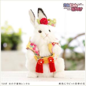 うさぎの着物レンタル ペット着物 女の子 uk-001 うさぎ着物 振袖 往復