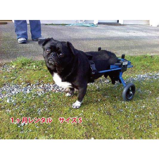 1ヶ月レンタル　K9カート犬用車椅子後脚サポート S（5kg-8kg未満)　後ろ足　犬　車イス　車椅...