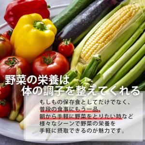 防災セット 非常食 カゴメ 野菜たっぷりスープ...の詳細画像3