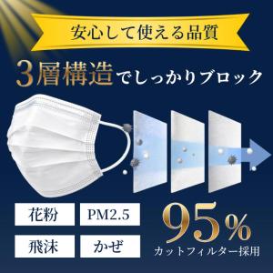 三層不織布マスク 50枚入 12箱 計600枚...の詳細画像2