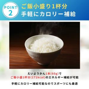 井村屋 チョコえいようかん 非常食 保存食 1...の詳細画像4
