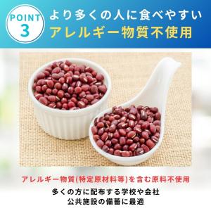 井村屋 チョコえいようかん 非常食 保存食 1...の詳細画像5