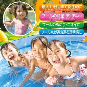 ジアラスター プール水清澄剤 タブレット 15...の詳細画像1