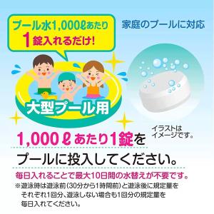ジアラスター プール水清澄剤 タブレット 15...の詳細画像2
