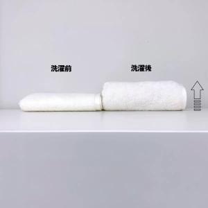 伊澤タオル ふんわりボリュームフェイスタオル ...の詳細画像1