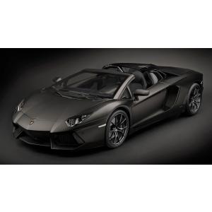 ポケール 1/8 ランボルギーニ アヴェンタドールLP700-4 ロードスター 2012 フラットブラック Pocher Lamborghini Aventador Roadster flatblack｜reowide-interior