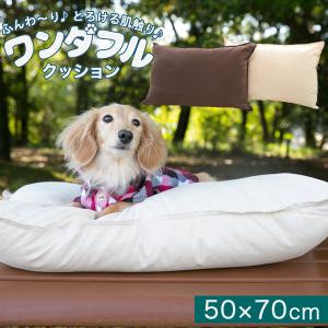 洗える ペットクッション 50×70cm ワンダフルクッション ペットベッド 小型犬 猫 マイクロファイバー綿｜reowide-interior