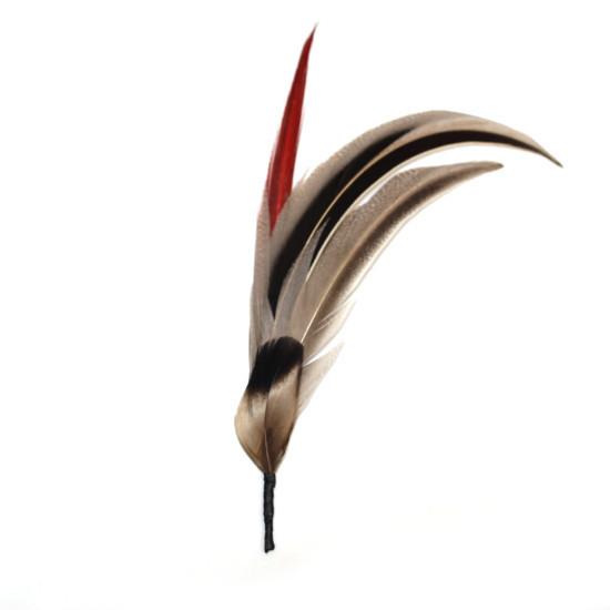 帽子 ハット用 羽飾り ブラック×レッド×ベージュ メンズ レディース 天然 鳥 羽根 フェザー F...