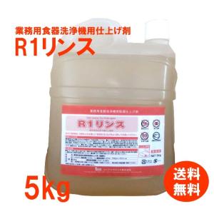 ホシザキ JWS-12NHH-HT 業務用 食器洗浄機専用洗剤 12kg×2
