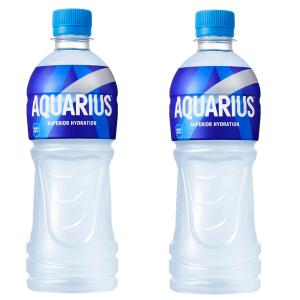 湧命水 500ml×4本　賞味期限2026.5 養命水 500ml ペットボトル 24本入 : いわゆるソフトドリンクの