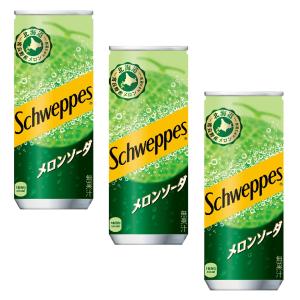 メロンソーダ、こびとずかんDVDなどセット メロンソーダアップ（Melon Soda-Up Japanese Melon Soda