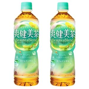 2ケースセット 送料無料 (地域限定) 爽健美茶 600ml PET × 24本 ＋2箱48本セット コカコーラ CocaCola｜REPEX