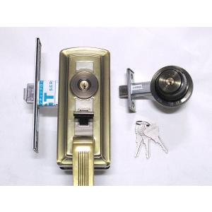 ALPHA（アルファ）新日軽主用錠ケース ACY-33 34 45用 C8NDL229P2