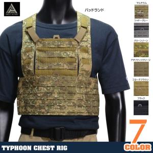 Direct Action チェストリグ TYPHOON モール対応 ダイレクトアクション タイフーン CR-TPHN-CD5 アーマーの商品画像