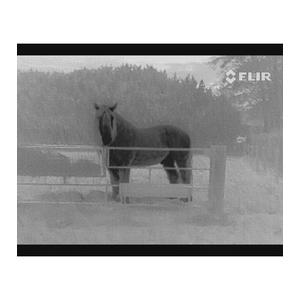 【日本正規品】FLIR フリアー 暗視スコープ...の詳細画像1