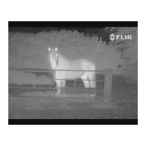 【日本正規品】FLIR フリアー 暗視スコープ...の詳細画像2